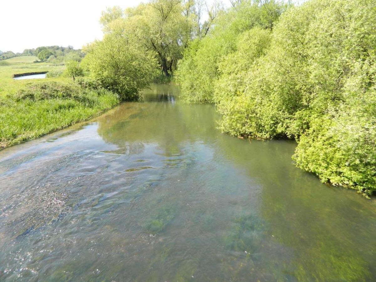 River Cottage A Country Retreat In Wooded Gardens East Stoke  Dış mekan fotoğraf