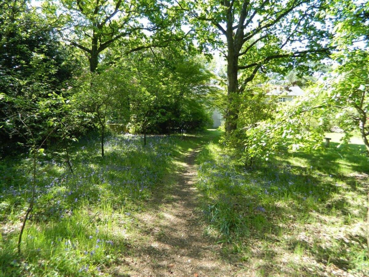 River Cottage A Country Retreat In Wooded Gardens East Stoke  Dış mekan fotoğraf