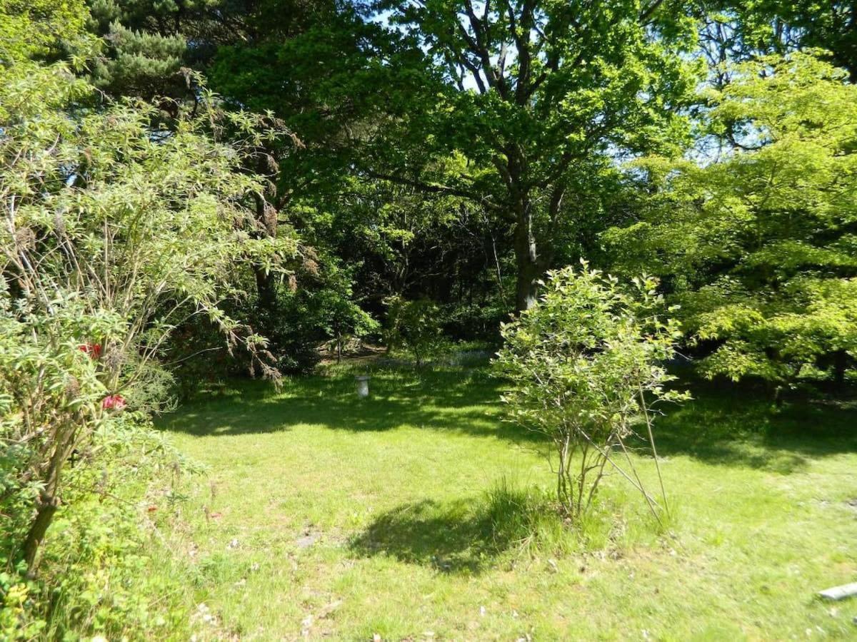 River Cottage A Country Retreat In Wooded Gardens East Stoke  Dış mekan fotoğraf