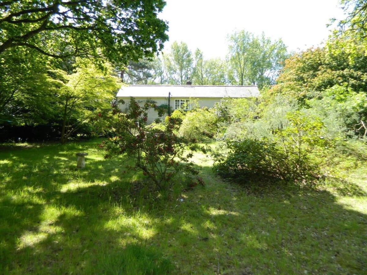River Cottage A Country Retreat In Wooded Gardens East Stoke  Dış mekan fotoğraf