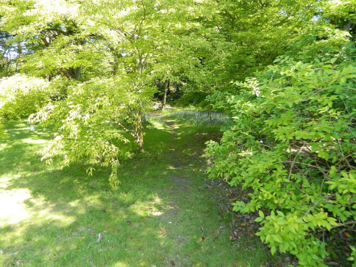 River Cottage A Country Retreat In Wooded Gardens East Stoke  Dış mekan fotoğraf