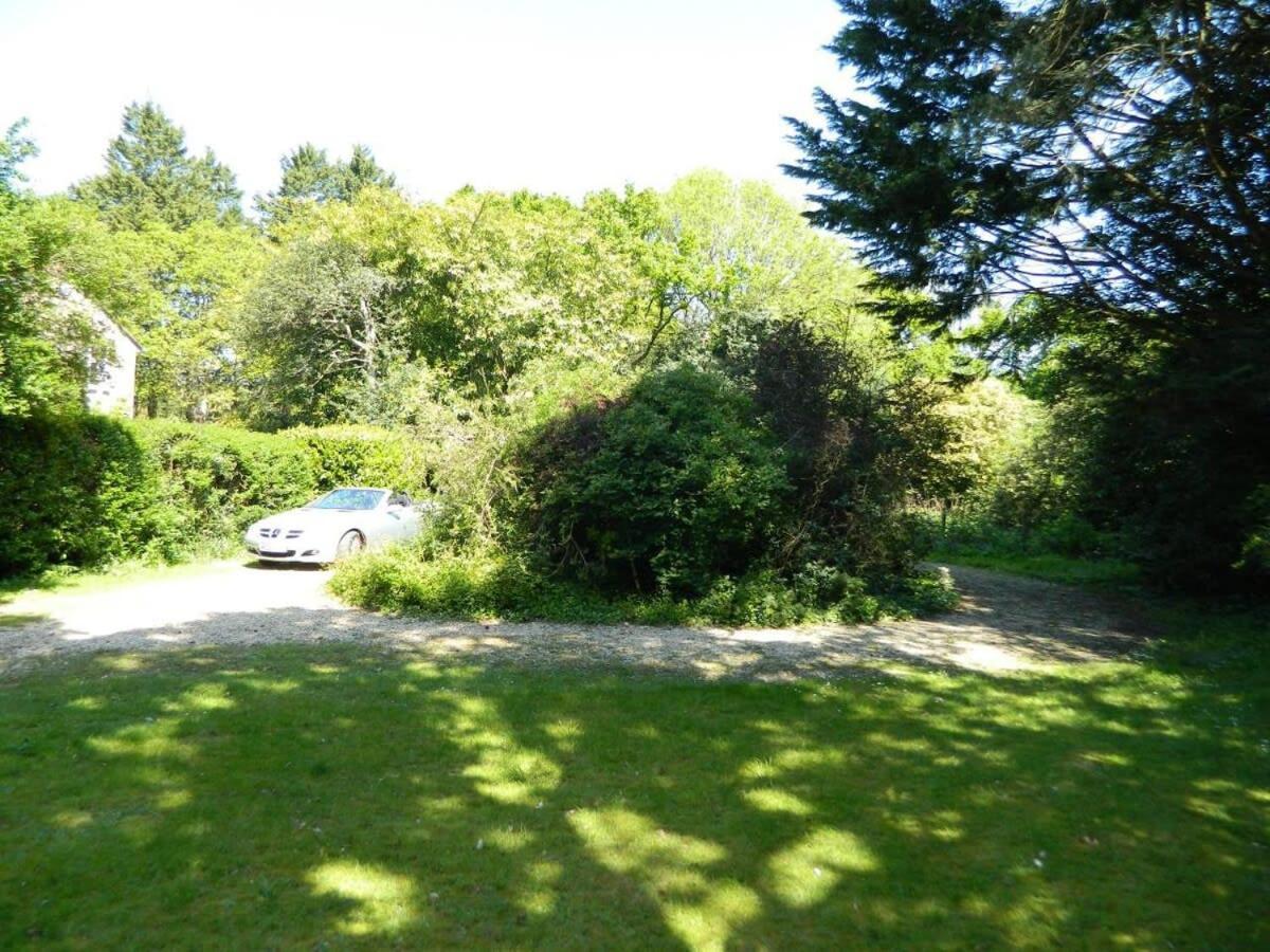 River Cottage A Country Retreat In Wooded Gardens East Stoke  Dış mekan fotoğraf