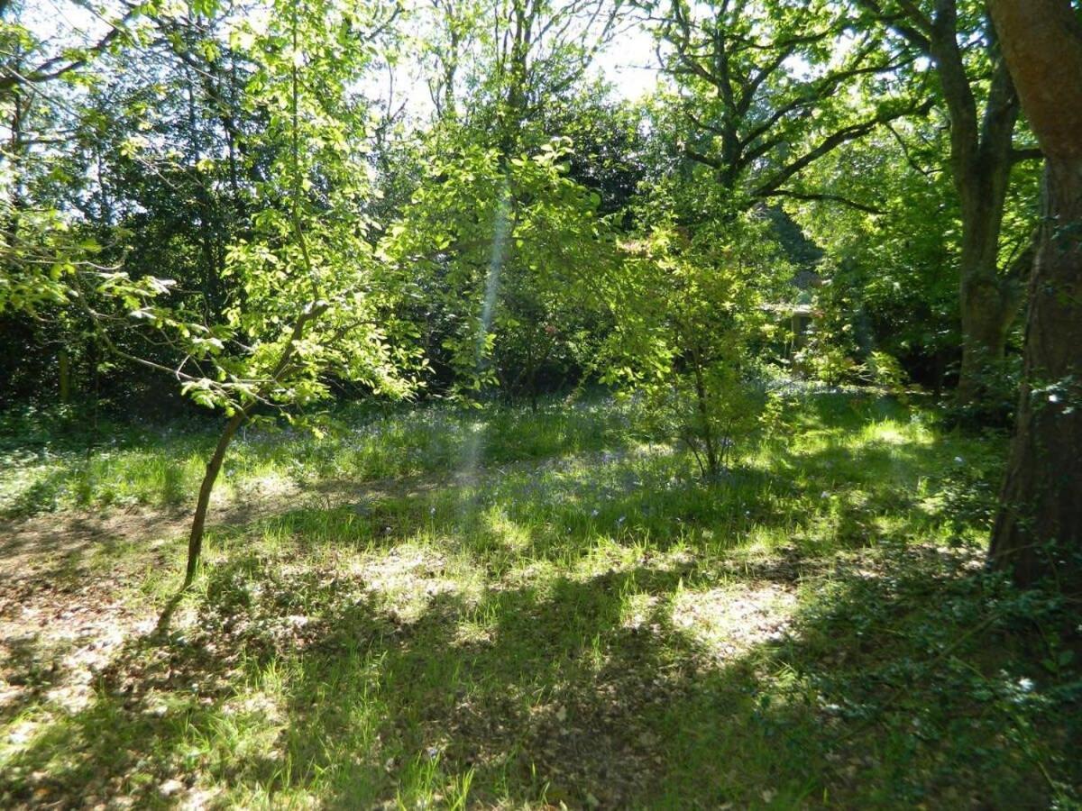 River Cottage A Country Retreat In Wooded Gardens East Stoke  Dış mekan fotoğraf
